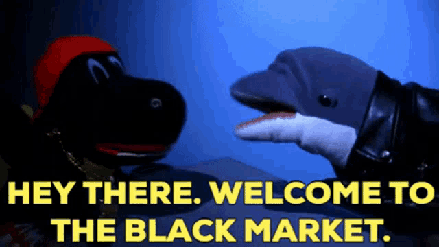 Sml Loan Dolphin GIF