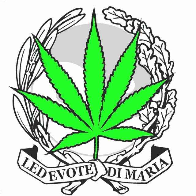 a green marijuana leaf with the words led evote di maria on the bottom