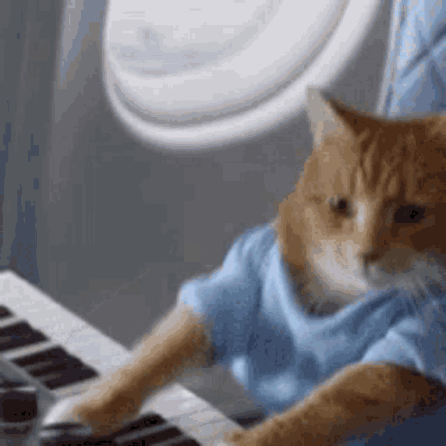 a cat wearing a blue shirt is sitting at a keyboard