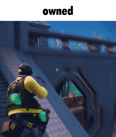 a screenshot of a video game with the words " owned " above it