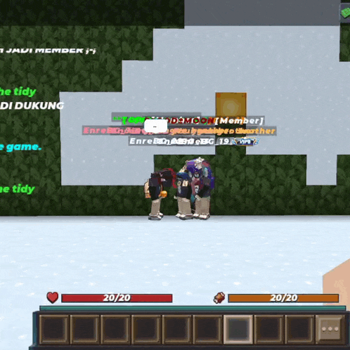 a screenshot of a video game with the number 20/20 at the top