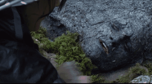 a close up of a person laying on a rock