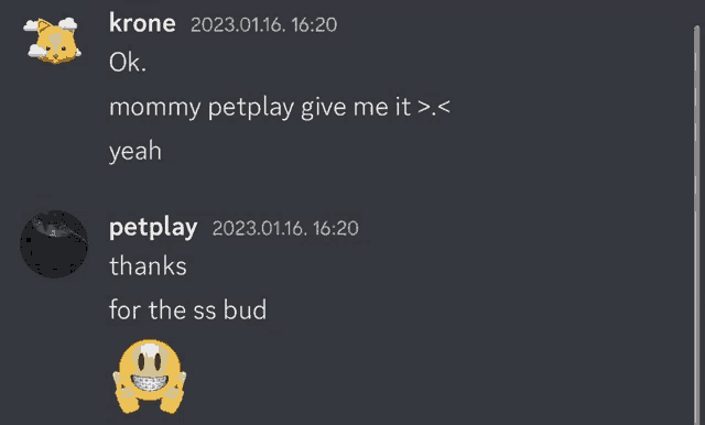 a screenshot of a discord conversation with krone and petplay
