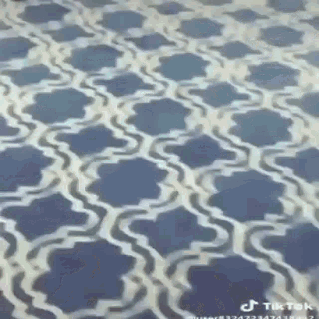 a close up of a blue and white rug with a pattern on it .