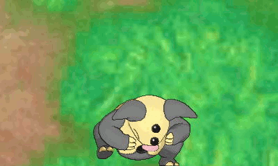 Grumpig Pokemon GIF - Grumpig Pokemon Jumping For Joy GIFs