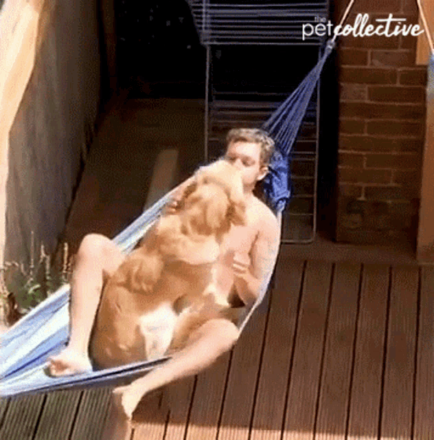 Chilling The Pet Collective GIF - Chilling The Pet Collective Having Fun GIFs