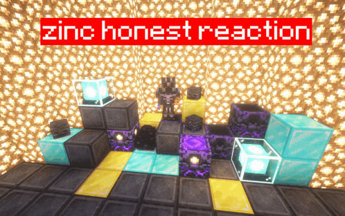 a screenshot of a minecraft game with the words zinc honest reaction