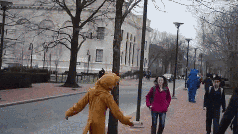 Penn State Mascot GIF - Pennstate Pennstategifs Nittany Lion GIFs