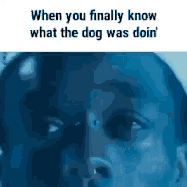 a close up of a man 's face with the words `` when you finally know what the dog was doin ''