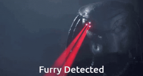 Furry Furry Detected GIF - Furry Furry Detected Predator GIFs