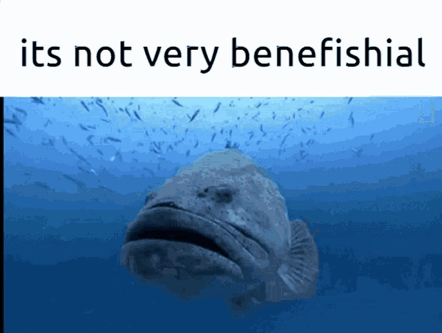 a picture of a fish in the ocean with the words " it 's not very beneficial " above it