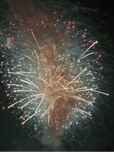 a fireworks display with a dark background and a lot of sparks