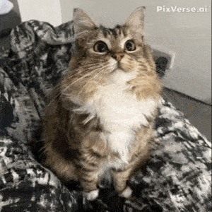 a cat is sitting on a blanket on a bed and looking at the camera .