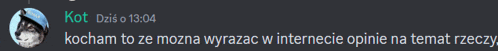 a screenshot of a chat with a cat and the time of 13:04