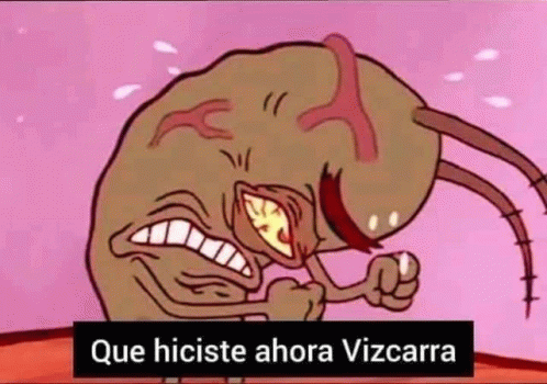 Que Hiciste Vizcarra GIF - Que Hiciste Vizcarra GIFs