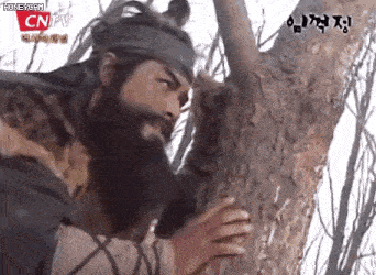 a man with a beard is climbing a tree with cntv written on the bottom of the screen