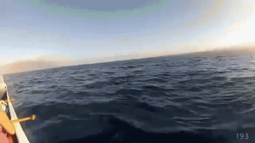 a large body of water with the number 193 on the bottom right