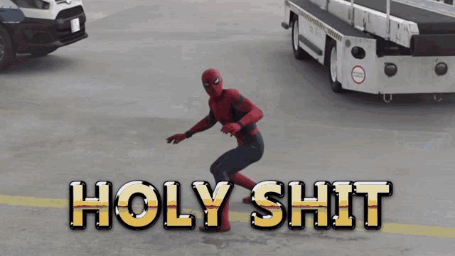 a picture of a spiderman with the words holy shit below