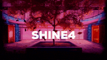 Shine4 GIF - Shine4 GIFs
