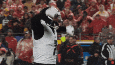 a football player wearing a helmet is standing on a field with his hands in the air