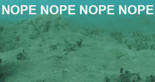 an octopus is swimming in the ocean with the words nope nope nope written on the bottom