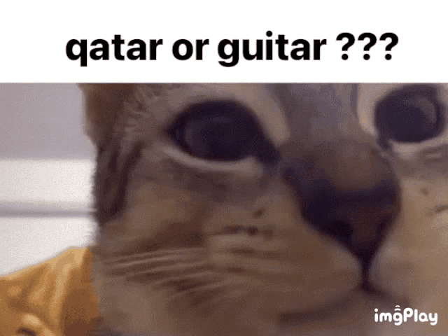 Qatar Or GIF - Qatar Or Guitar GIFs