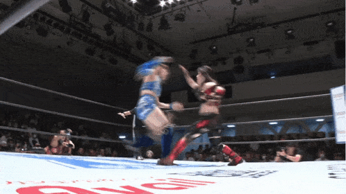 two women are wrestling in a ring with a sign that says ' g ' on it