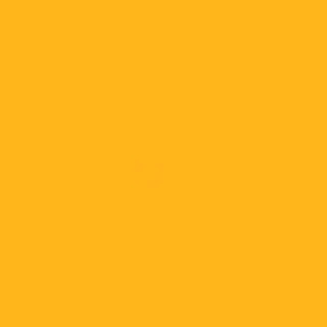 a brown and white dog sitting on a yellow background with its tongue out