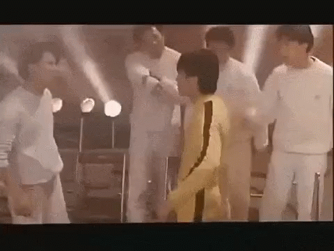 Fight Stepenchow GIF - Fight Stepenchow GIFs
