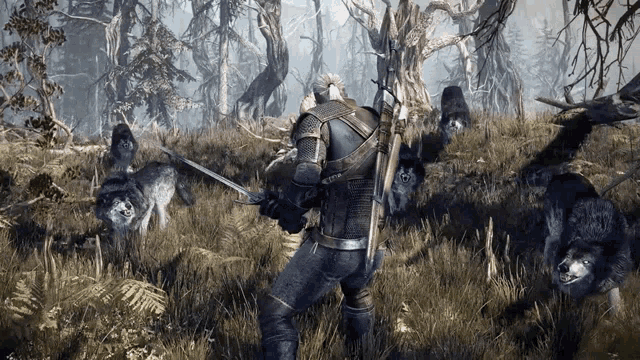 Surrounded By Wolves Geralt Of Rivia GIF
