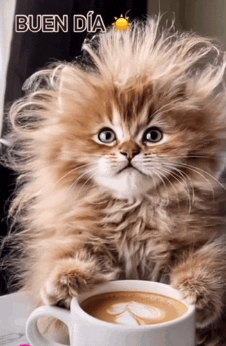 a fluffy kitten is sitting next to a cup of coffee and the words buen dia are above it
