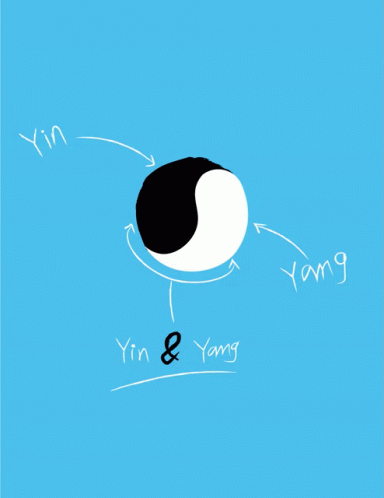 Downsign Yin And Yang GIF - Downsign Yin And Yang Twitter GIFs