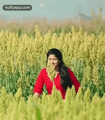 a girl in a red shirt is standing in a field of tall grass .
