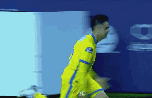 a soccer player wearing a yellow and blue jersey with the number 23 on it