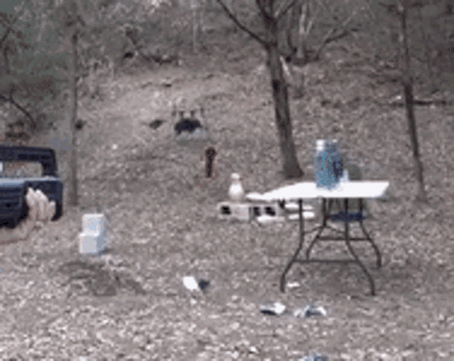 a table with a can of diet coke on it in the woods