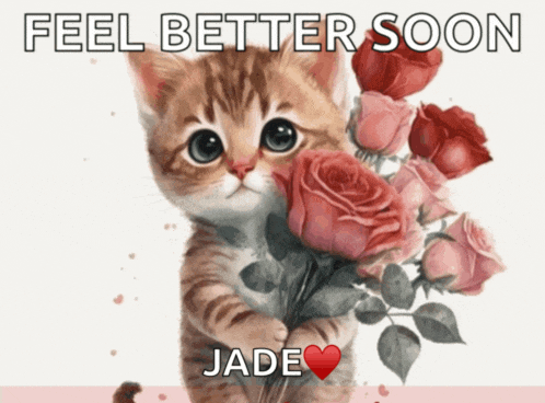 a cat holding a bouquet of pink roses with the words feel better soon jade