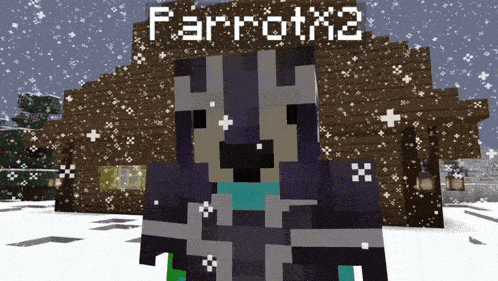 a minecraft character standing in front of a snowy building with the name parrotx2