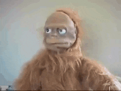 a close up of a puppet with blue eyes and a beard .