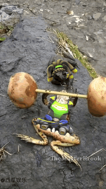 a picture of a frog lifting a barbell with the caption " the master krook "