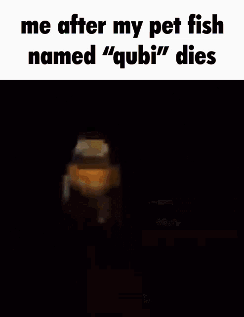 a blurry picture of a man with the words " me after my pet fish named " quibi " dies "