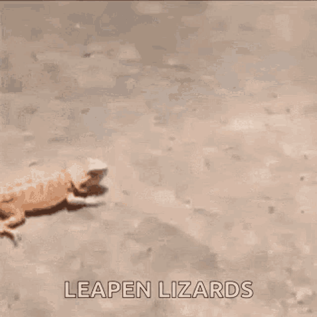 Scared Leapen Lizard GIF - Scared Leapen Lizard Snake GIFs