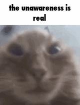 The Unawareness Is Real GIF - The Unawareness Is Real Unawareness Unaware GIFs
