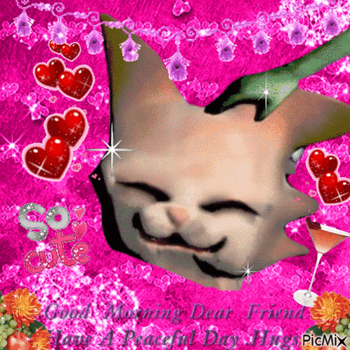 a picture of a cat on a pink background says good morning dear friend have a peaceful day here