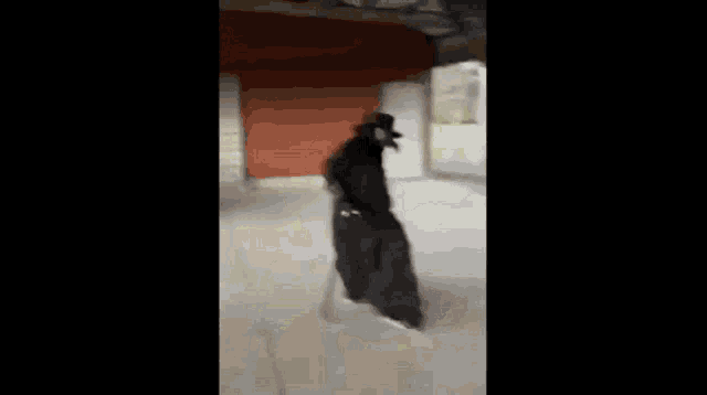 a man in a black coat and top hat is walking in a room .