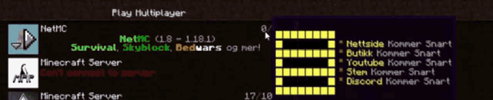 a screenshot of a minecraft server that says " play multiplayer " at the top