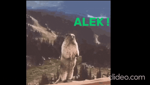 a groundhog is standing on its hind legs in front of a mountain and the word alek is on the bottom of the screen