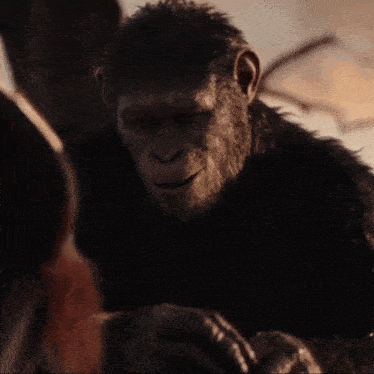 Planet Of The Apes Caesar GIF - Planet Of The Apes Caesar Talk GIFs