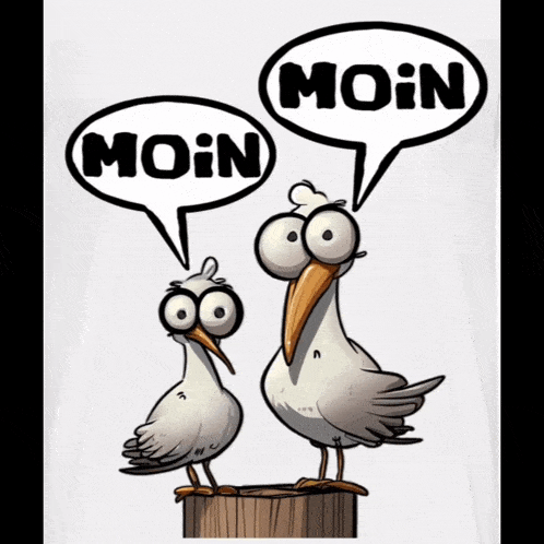 Bro Moin Moin GIF - Bro Moin Moin Hallo GIFs