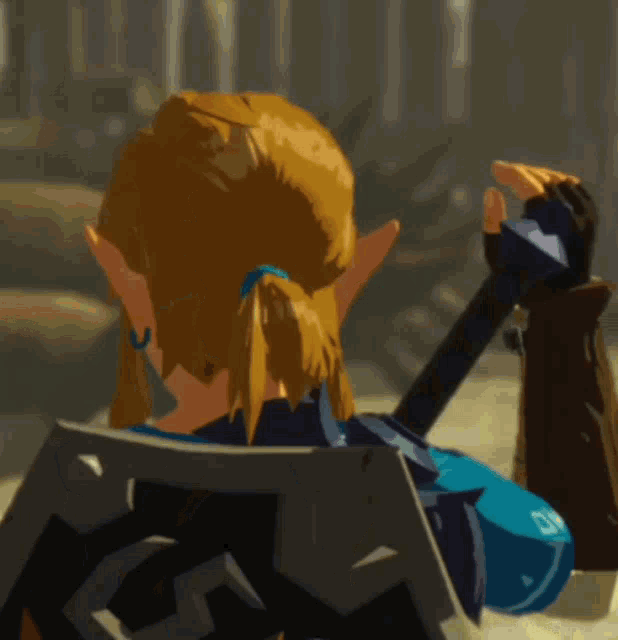 Zelda Bot W Link Is Embarrassed Hyrule Warriors Age Of Calamity GIF - Zelda Bot W Link Is Embarrassed Hyrule Warriors Age Of Calamity Zelda GIFs