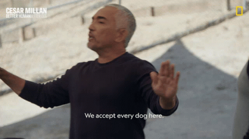 We Accept Every Dog Here Cesar Millan GIF - We Accept Every Dog Here Cesar Millan Cesar Millan Better Human Better Dog GIFs
